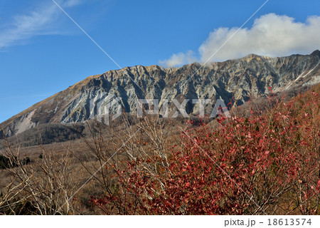 大山 18613574