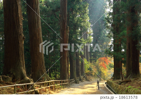 世界遺産　平泉　中尊寺の紅葉 18613578