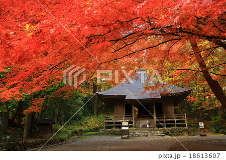 世界遺産　平泉　中尊寺の紅葉 18613607