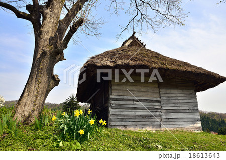 藁葺き小屋 18613643