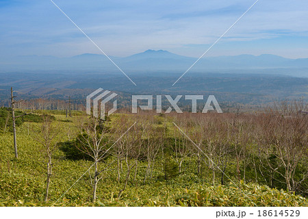 小清水峠 18614529