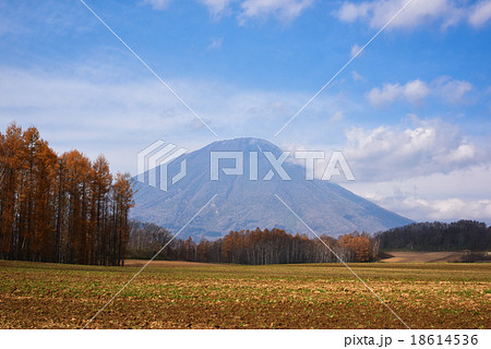 羊蹄山 18614536