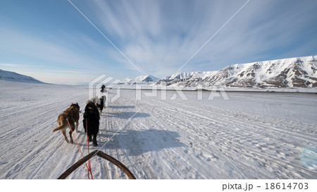 Dog sled tour across a barren winter landscape Dog sled tour across a barren winter landscape 18614703