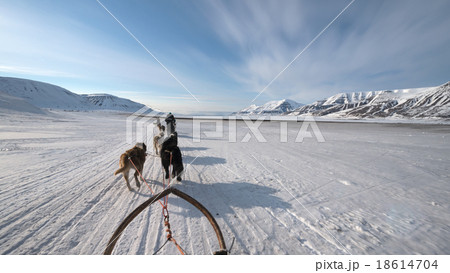 Dog sled tour across a barren winter landscape 18614704