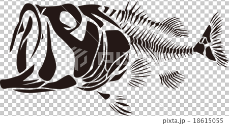 Bone 18615055