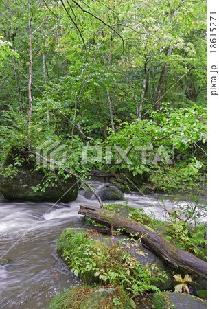 石ケ戸の瀬 奥入瀬渓流の写真素材