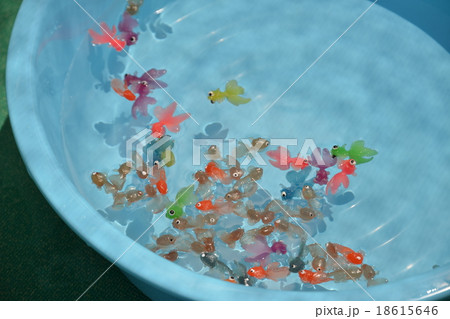 水に浮かぶ金魚の写真素材