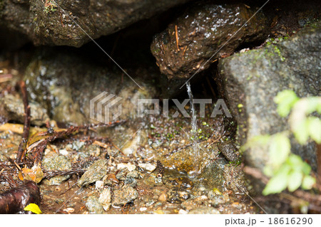 みなのがわ 18616290