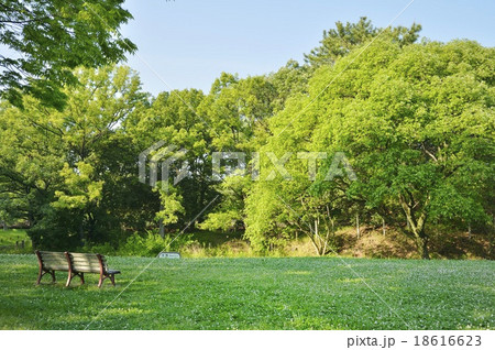 大仙公園 竜佐山古墳 大仙公園 竜佐山古墳 18616623