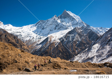 Mount Machhapuchchhre, Annapurna Himal, Nepal Mount Machhapuchchhre, Annapurna Himal, Nepal 18616715