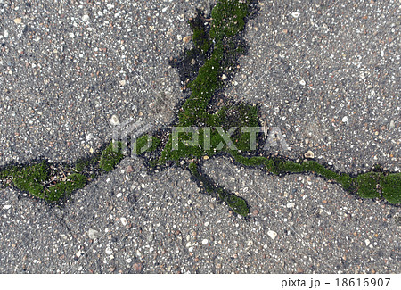 Damaged asphalt texture with moss. 18616907