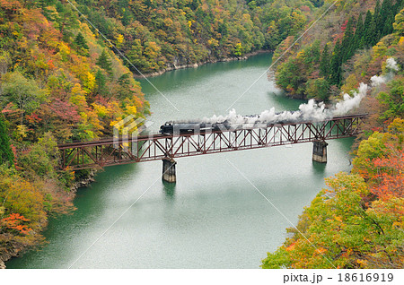 紅葉の只見川第三橋梁を渡るsl只見線紅葉号の写真素材