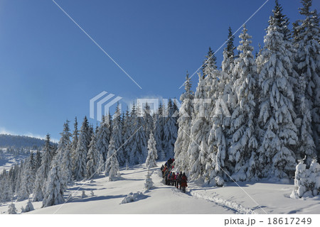 hiking in winter  mountains 18617249