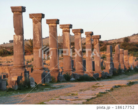 ヴォルビリス遺跡 18617752