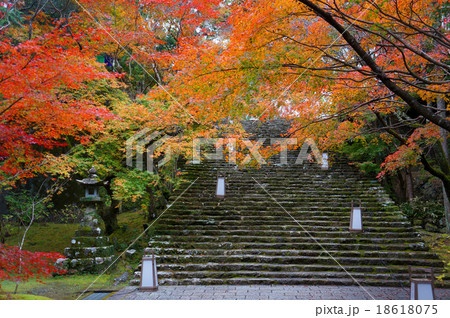 竹林寺石段の紅葉の写真素材