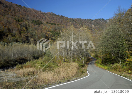 秋の林道 秋の林道 18618099