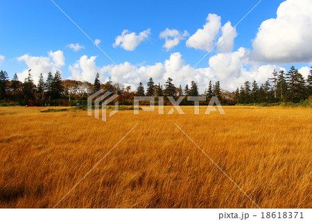 神仙沼湿原03 18618371