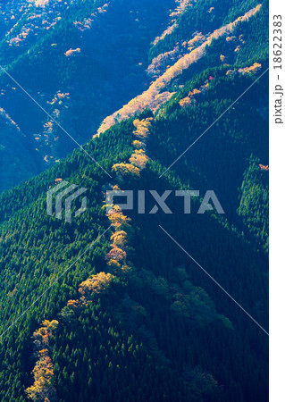 ナメゴ谷 18622383