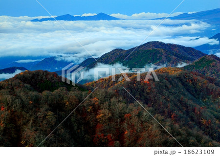 夜明けの丹沢・鍋割山稜と雲海に浮かぶ愛鷹山 18623109