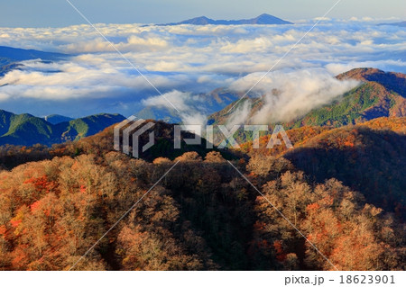 丹沢・塔ノ岳から鍋割山稜と雲上の愛鷹山 18623901