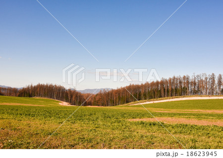 丘の風景 18623945