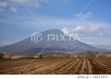 羊蹄山 18623947