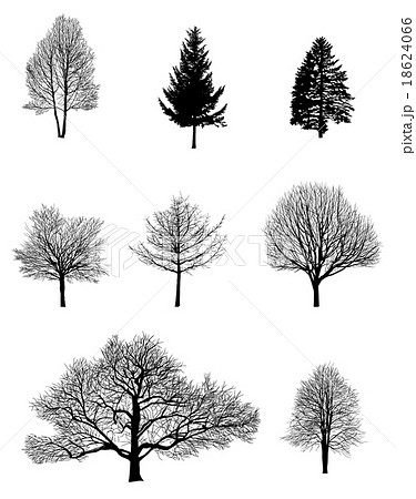 樹木のイラスト素材