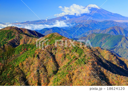 丹沢・鍋割山から檜岳方面の稜線と富士山 18624120
