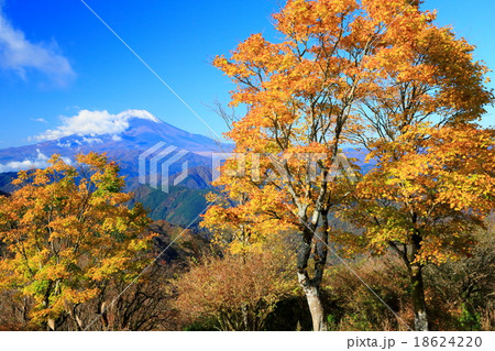 丹沢 鍋割山山頂の紅葉と富士山の写真素材