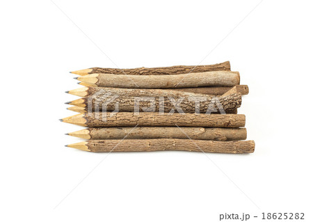 bunch of pencils stylized tree branch 18625282