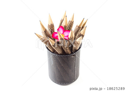 bunch of pencils stylized tree branch in black box bunch of pencils stylized tree branch in black box 18625289