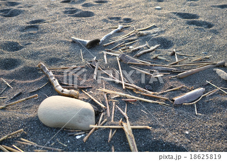 静岡 三保海岸、打ち上げられた流木と石 静岡 三保海岸、打ち上げられた流木と石 18625819