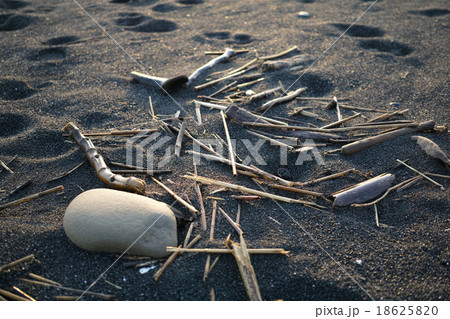静岡 三保海岸、打ち上げられた流木と石 静岡 三保海岸、打ち上げられた流木と石 18625820