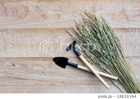 Gardening tools on wooden background Gardening tools on wooden background 18626164