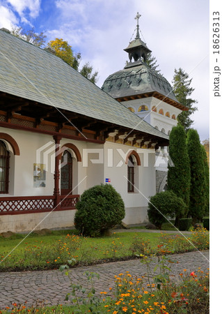 シナイア 18626313