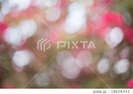 Natural  blurred background 18626341
