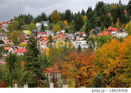 シナイア 18626408