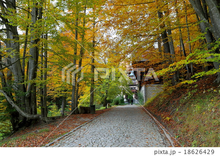 シナイア 18626429