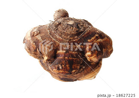 ヤツガシラ 18627225