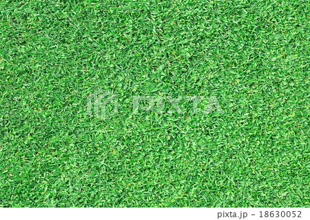 green grass 18630052
