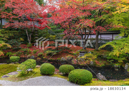 泉涌寺　御座所庭園 18630134