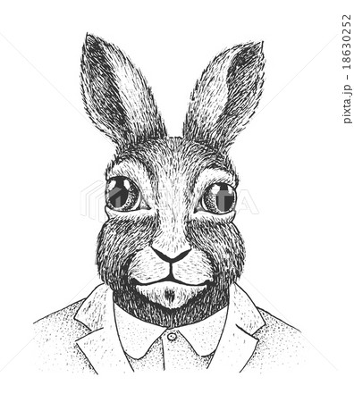 Rabbit Engraving Illustration 18630252