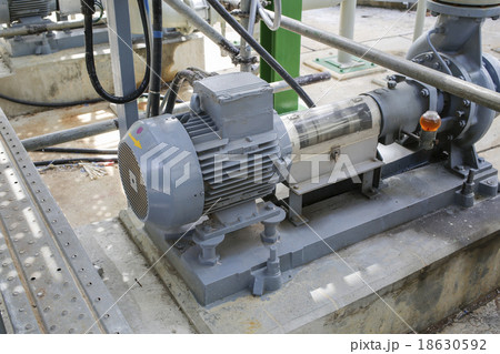 Induction motor with Centrifugal pumps 18630592