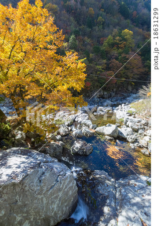みたらい渓谷 みたらい渓谷 18631299