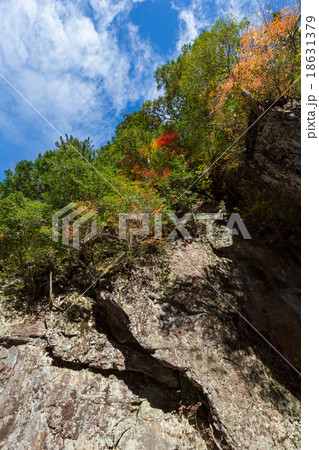 みたらい渓谷 岩壁の紅葉 18631379