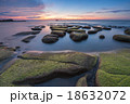 super green moss with sunset 18632072