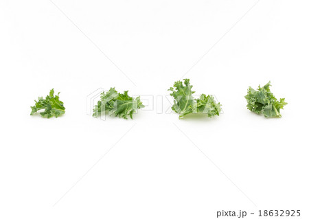 ケール ケール 18632925