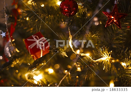 Christmas Tree 18633335