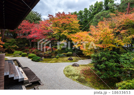 泉涌寺　御座所庭園 18633653
