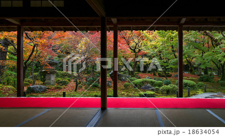 圓光寺の紅葉 18634054